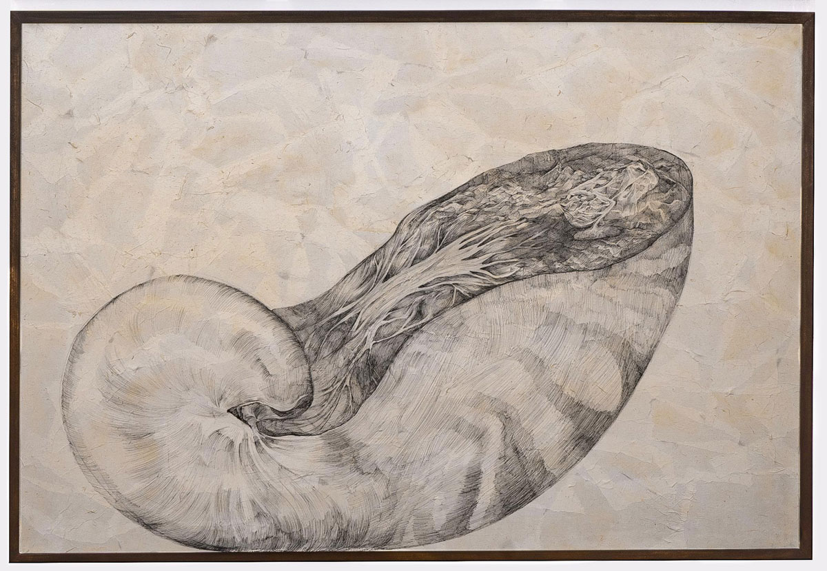 Title- Faraway wonder-Nautilus Medium-Ink on paper & textile, Size-34 inches x 50 inches ,Year-2020