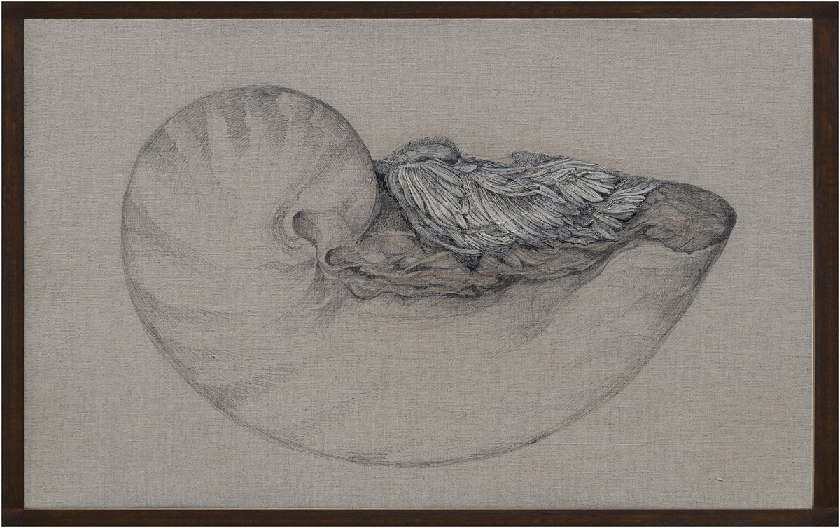 Title- Where To Now My Beloved II (Nautilus), Medium-Ink on paper & textile,linen Size- 26 inches x 18 inches, Year-2021